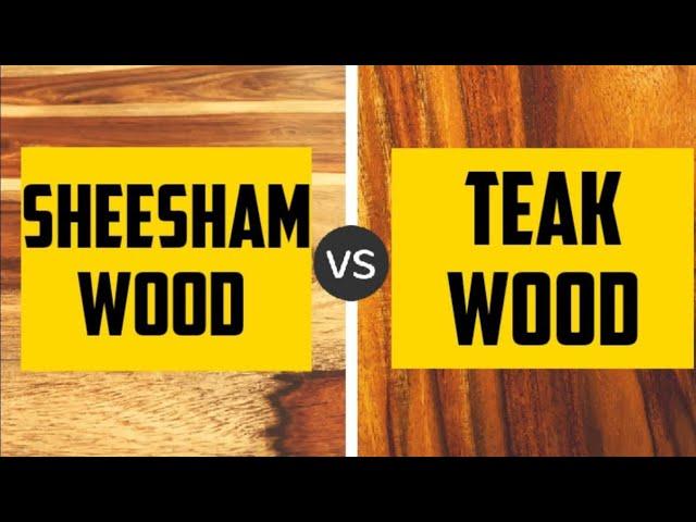 Sheesham Wood vs Teak Wood | Which One Is Best Wood For Furniture ? Rosewood Furniture in Hindi