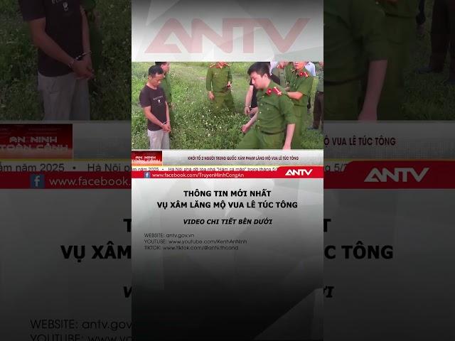 Vụ lăng mộ vua bị xâm hại: Một đối tượng đã trốn về nước #antv #shorts #langmo