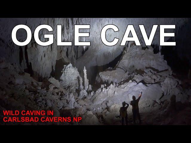 Ogle Cave in Carlsbad Caverns National Park