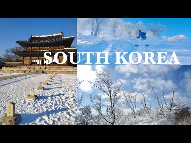 South Korea Travel Vlog | South Korea Beautiful Places | South Korea Vlog | South Korea Video | Tour