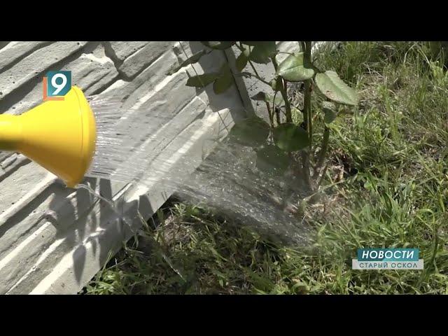 Жителей Старого Оскола призывают к рациональному использованию воды