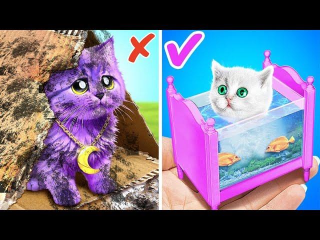 Please Save Tiny Kitten!  Secret House for Cat  *Cool Pet Gadgets and Miniature Crafts for Dolls*