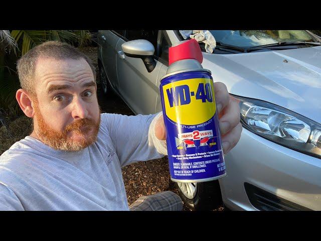 Will WD-40 remove the PAINT on my car?  Series #6