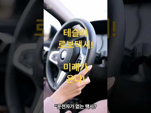 테슬라 로보택시 – 미래가 온다