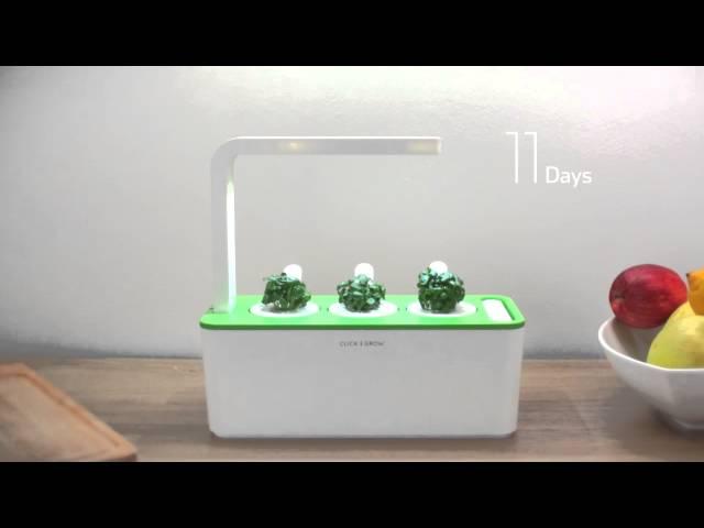 How does it work? The Click & Grow Smart Herb Garden