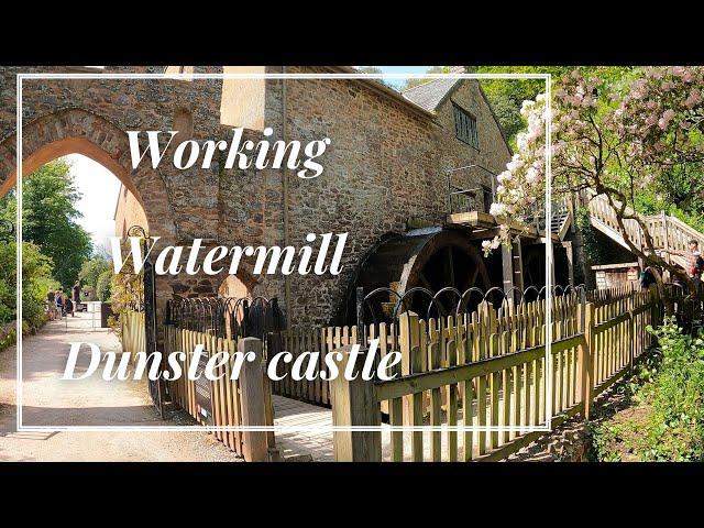 Working traditional watermill a closer look | Dunster Watermill