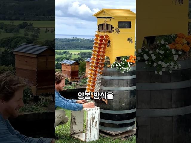 벌과 사람 모두 편안한 꿀 채취 방법
