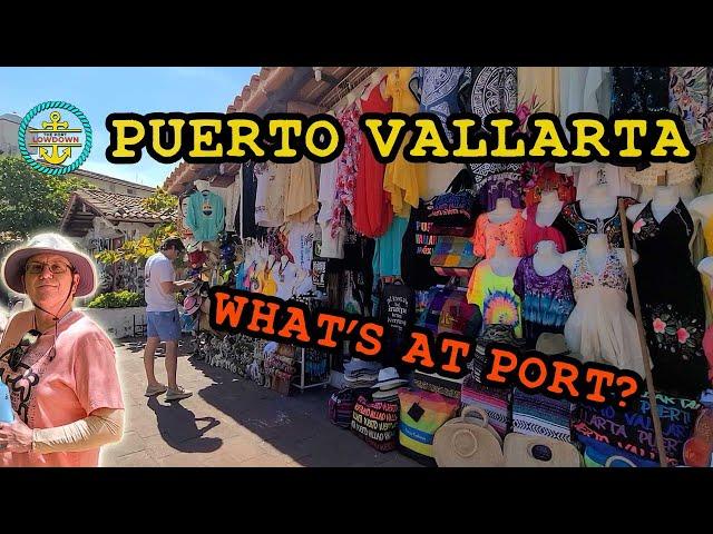 Puerto Vallarta Cruise Port Survival Guide – 2023