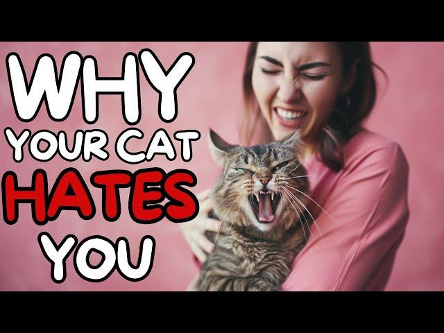 Surprising Reason Your Cat Hates You - Decoding Feline Behavior