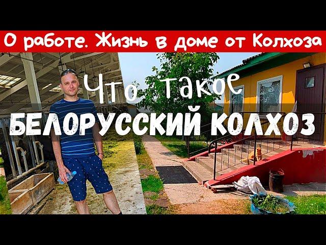 Обзор дома от колхоза / О работе / Деревня Урицкое / #гомель #беларусь #belarus