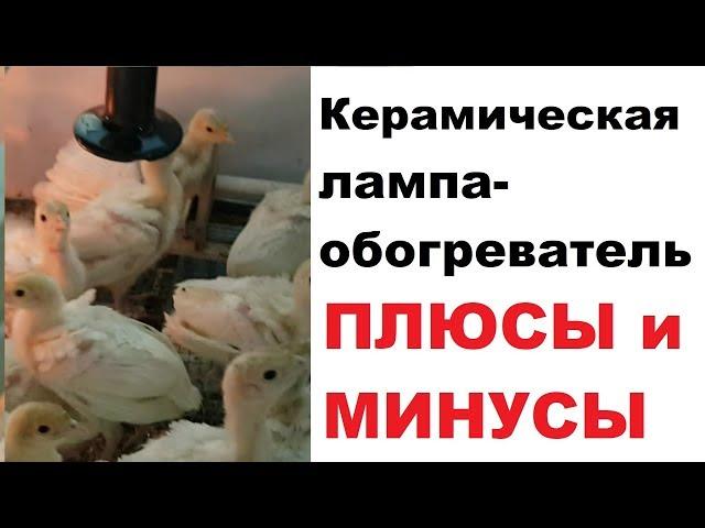 Керамическая лампа-обогреватель. Так ли она надежна?