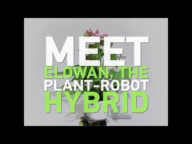 Cybernetic Life Form; Plant Gets In Direct Dialogue With Robot