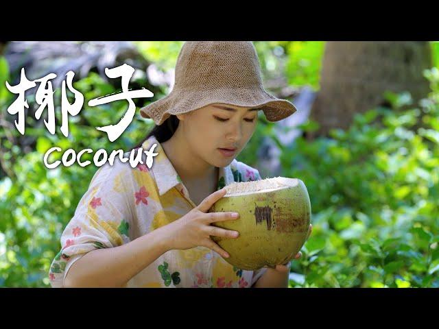「One Fruit for a Table」Coconut - Refreshing and Sweet Fruit with Hard Shell and Tender Flesh