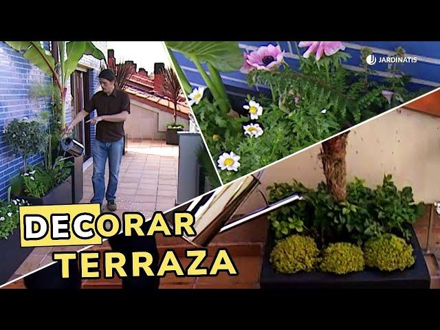 Plantas para la terraza: Descubre nuestra propuesta // Jardinatis