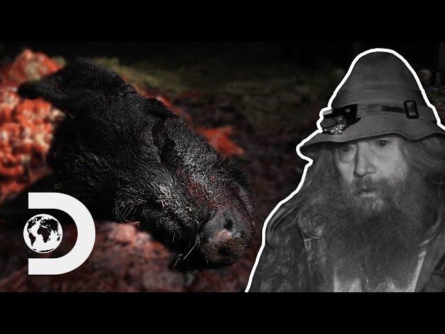 Hunters Find A Mutilated Boar Savaged By A Monster! I Mountain Monsters