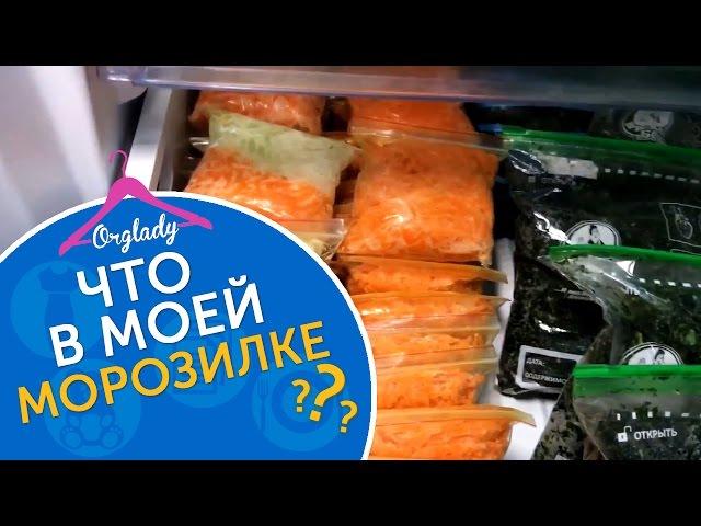 Что в моей морозилке? Организация и хранение в морозильной камере.