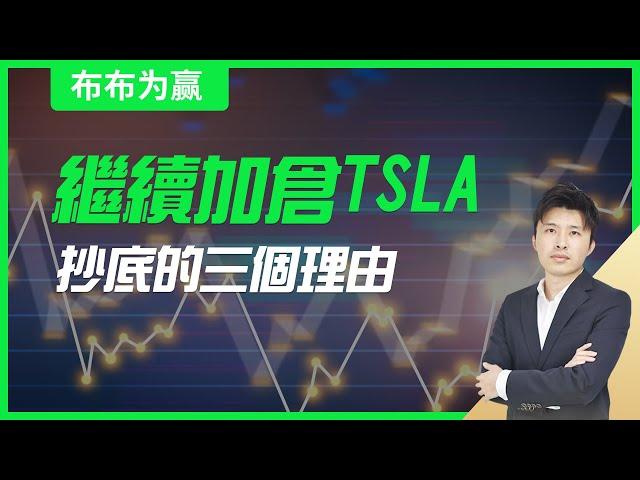 【布布为赢】继续加仓TSLA，抄底的三个理由