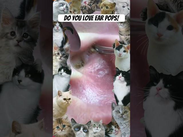Wow! #shortsfeed #shortvideo #shorts #short #pimple #pimples #pimpleremoval #youtube #youtubeshorts