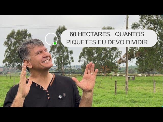 60 HECTARES: QUANTOS PIQUETES EU DEVO DIVIDIR E QUANTOS ANIMAIS POSSO COLOCAR?