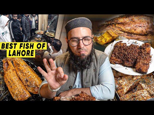 EXPLORING WINTER SPECIAL FOODS IN LAHORE | BEST FRIED FISH OF LAHORE | WINTER SERIES 2024 | PART 3