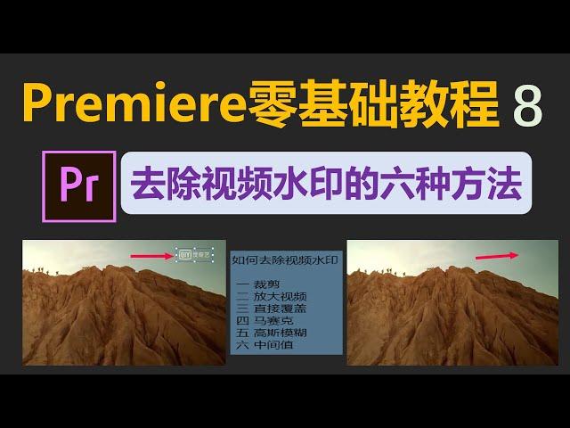 [203]Premiere Pro中去除视频水印的6种方法 │自媒体人必备的去除水印技巧│Promiere去除logo│Promiere零基础教程