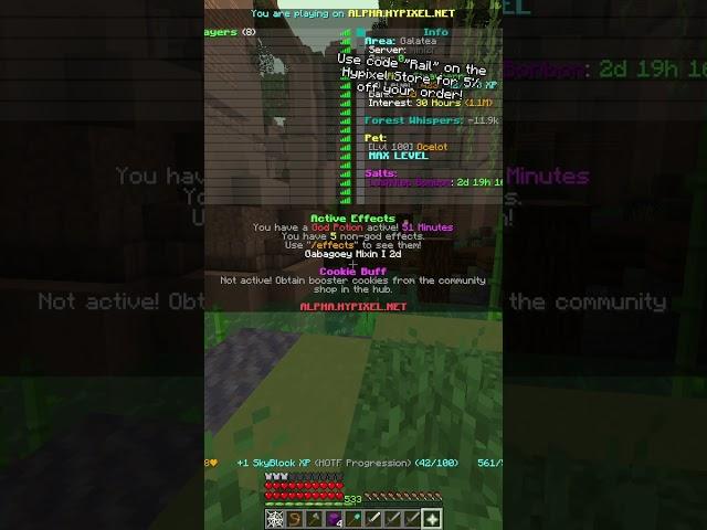 The Foraging Update isn't even out yet and i'm in debt   #hypixelskyblock #minecraft
