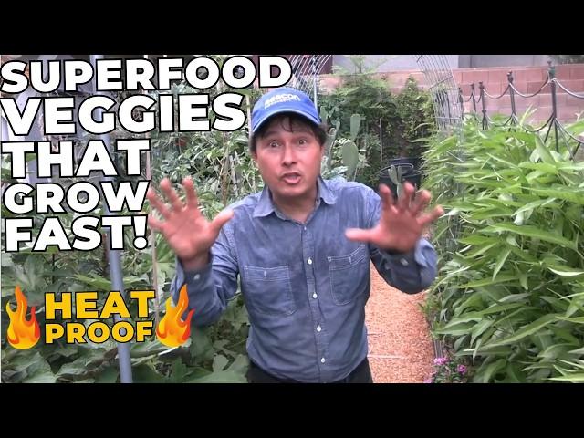 10 Superfood Veggies that Grow Fast Despite 100-Degree Heat