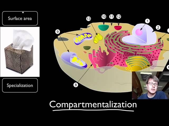 Compartmentalization