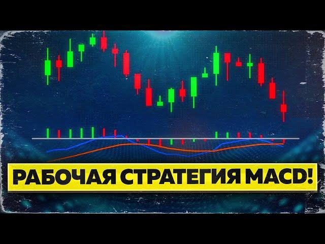 Индикатор macd - обучение трейдингу! Бинарные опционы 2023 стратегия! Покет Опшн Квотекс