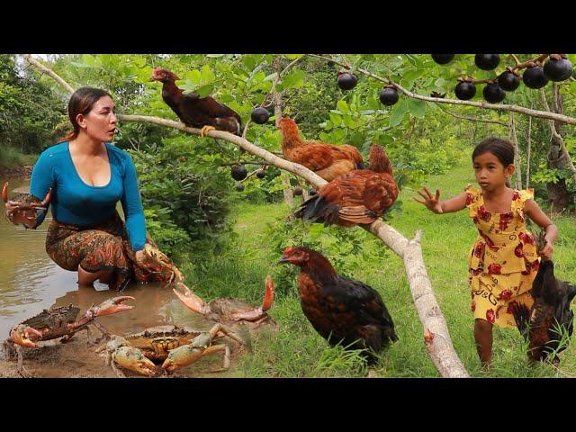 Survival skills- Catch many crab and chicken in forest- Cooking chicken soup +3food of survival