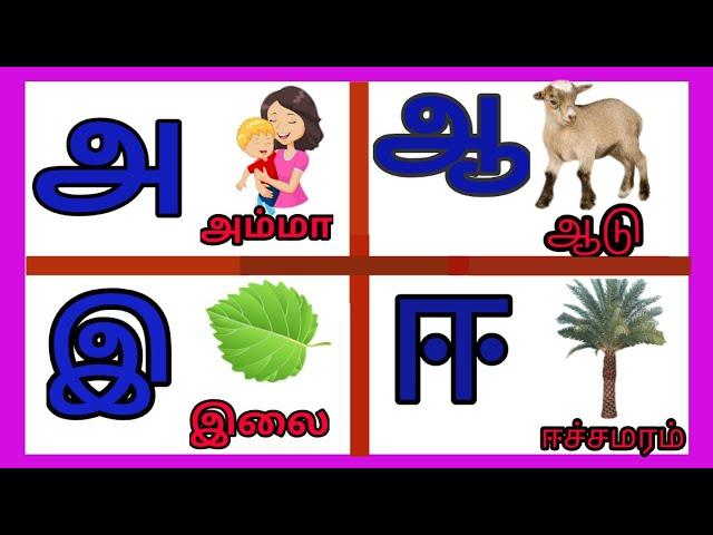 உயிர் எழுத்துக்கள்️ learn for Tamil alphabet / uyir yeluthukkal #aaaeeee #tamilalphabets #அஆஇஈ