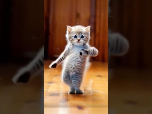 Teng Tenge Cat dance #shorts #ai #cute #cat #viralcat #tenge #trendingshorts  @WORLDTECHWINDOW