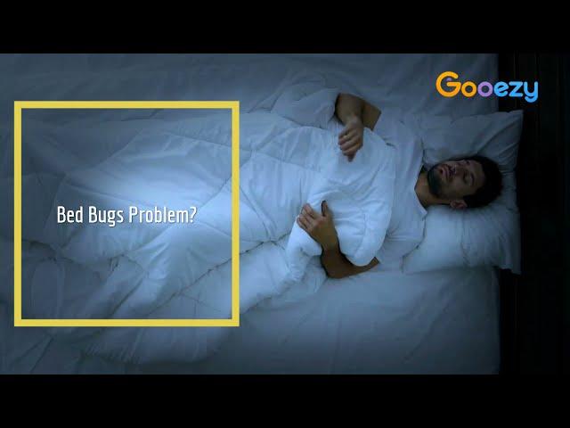 Pest Control Service AD - Gooezy.com