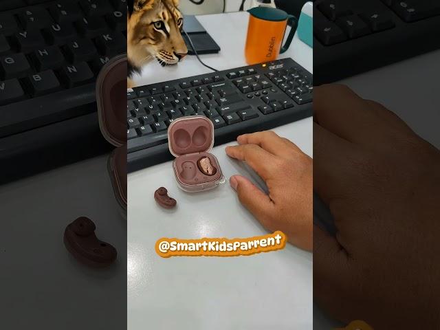 These lions are small in size #shortsviral #shorts #strangethings #ai #funnyvideo #shortsvideo2025