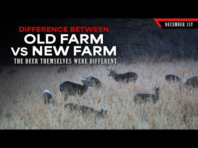 Differences Between my Old Farm and my New Farm | Bowhunting Whitetails w/ Bill Winke