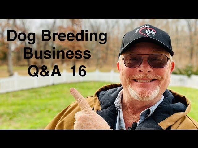 Dog Breeding Business Q&A 16 How To DIY