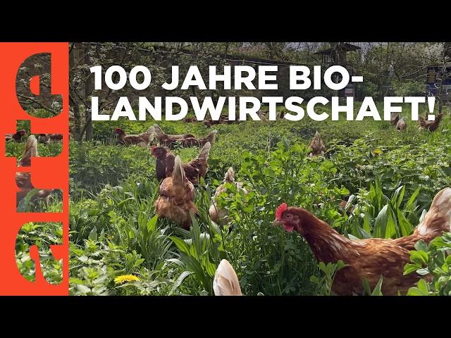 Die Bio-Revolution - Die Karriere der ökologischen Landwirtschaft | Doku HD |  ARTE