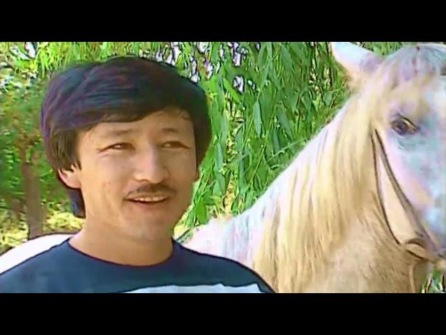 Toshpo`lat Matkarimov   Oq tulpor   Тошпулат Маткаримов   Ок тулпор