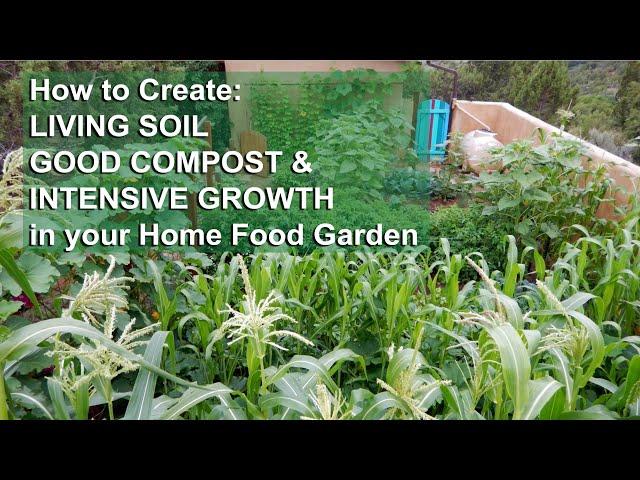 Create Living Soil, Good Compost, & Intensive Growth in your home garden.