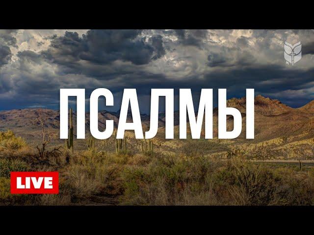  Библия онлайн: Книга Псалмов | Современный перевод 24/7
