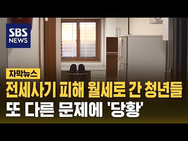 전세사기 피해 월세로 간 청년들...또 다른 문제에 '당황' (자막뉴스) / SBS