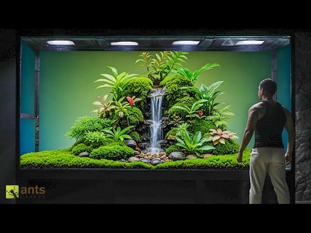 Building My Next Giant Ecosystem Vivarium III: The Next Chapter