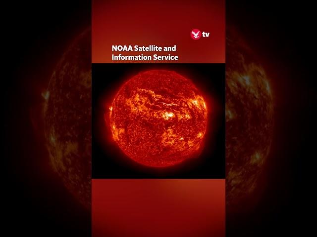 Timelapse shows solar activity responsible for Aurora Borealis #news #shorts