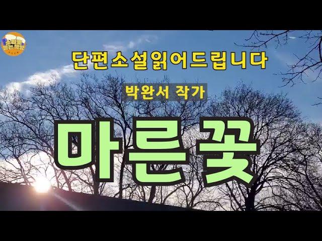 [단편소설오디오북] 마른꽃 / 박완서 작가 / 박완서 작가님이 남편과 사별후 64세가 되던 해에 쓴 작품 / 실버로맨스는 어떤 이해와 책임이 뒤따를지..