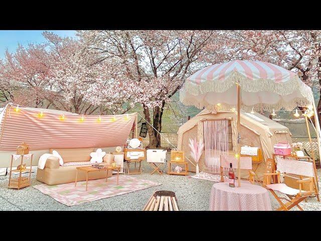 Beautiful Cherry Blossom Rain from the Sky  / Cherry Blossom Ending Camping / Camping V-log