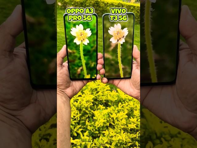 Oppo A3 Pro 5g vs Vivo T3 5g Camera Test #oppo #vivo #shorts