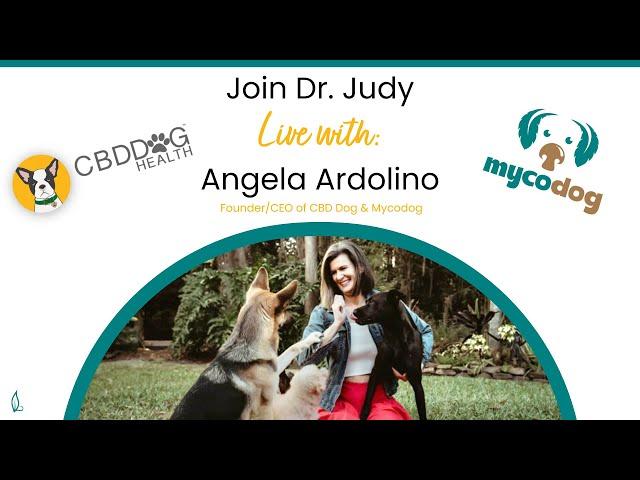 Sponsor Spotlight | CBD Dog Health & Mycodog