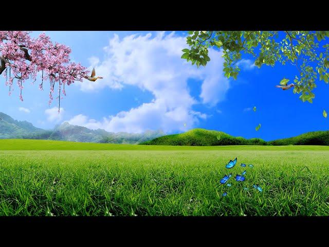 Nature background video effect || landscape background hd