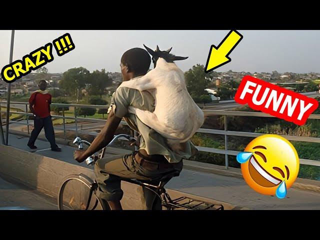 Crazy Funniest Videos Ever In The World | Try Not To Laugh Challenge | Laugh Till You Cry (Vol 20)