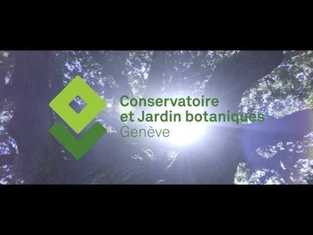 La Ville célèbre les 200 ans des Conservatoire et Jardin botaniques de Genève